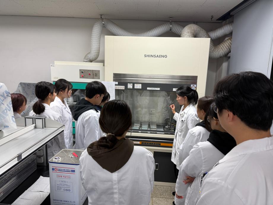 염색 및 시약제조