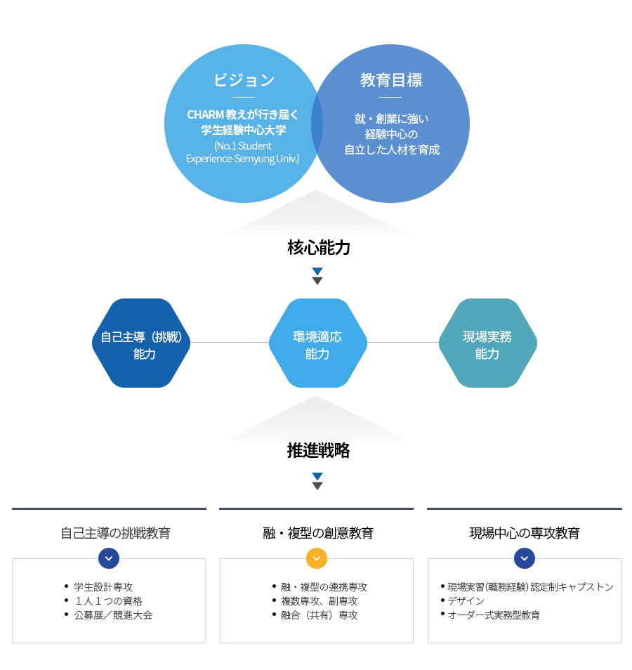 비전:CHARM잘가르치는학생경험중심대학,교육목표:취.창업에 강한경험중심의 자립하는인재양성, 핵심역량:자기주도역량,환경적응역량,형장실무역량, 추진전략:1)자기주도도전교육-학생설계전공,1인1기자격증,공모전/경진대회
            2)융.복합 창의교육-융.복합 연계전공, 복수전공,부전공, 융합전공 3)현장중심전공교육-현장실습인증제캡스톤, 디자인, 주문식실무형교육